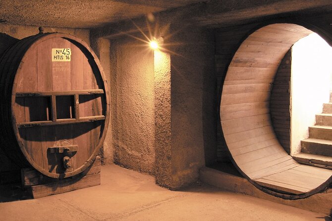 Half Day Tour of Wineries and Olive Oil with Lunch from Mendoza - Is $100 a fair price?