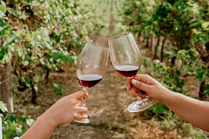Half Day Tour of Wineries and Olive Oil with Lunch from Mendoza - What to wear and bring