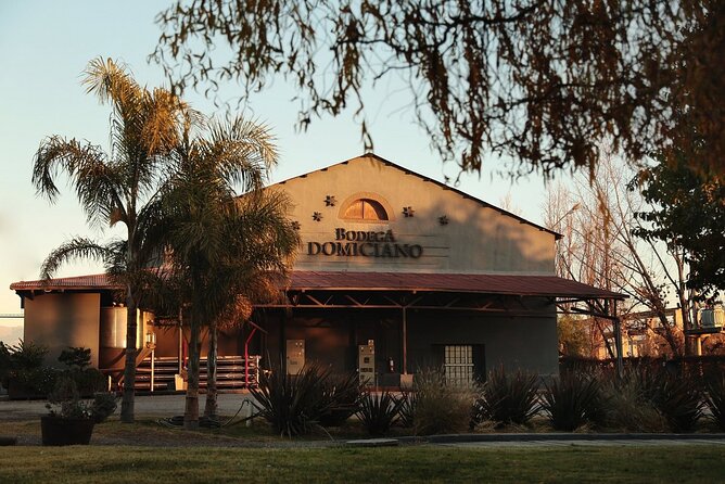 Half Day Tour of Wineries and Olive Oil with Lunch from Mendoza - Who will enjoy this Mendoza wine tour?