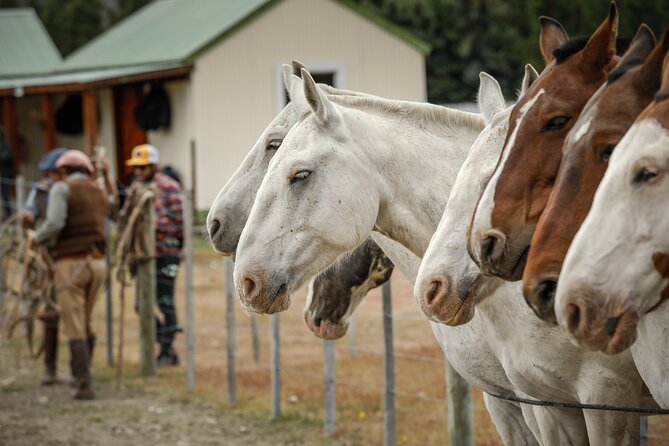 Horse Back Riding Expedition - Key points to know before booking