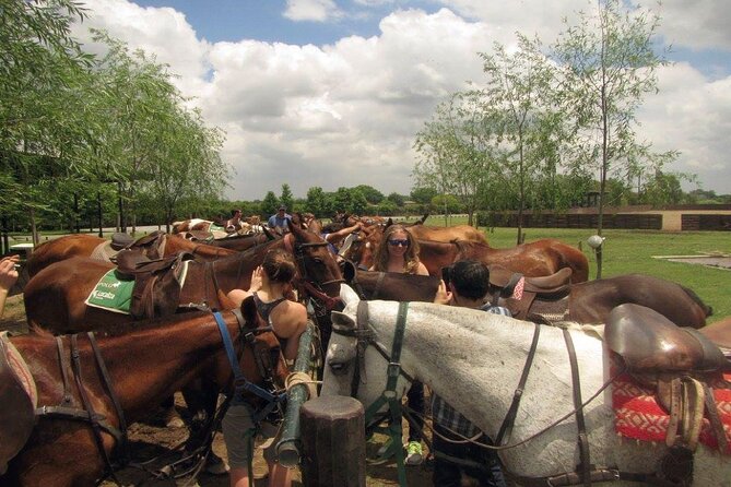 Horse Riding in the Argentine Countryside – Beginner Friendly - What the $247 Price Really Covers