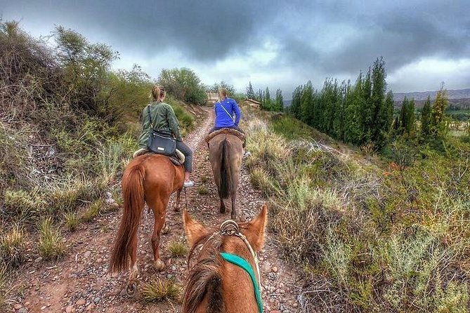 Horseback ride through vineyards followed by gourmet lunch - Key points to know before booking