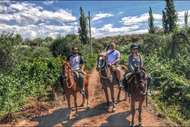 Horseback ride through vineyards followed by gourmet lunch - Is the $210 price fair?