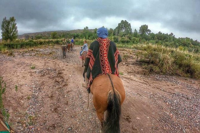 Horseback ride through vineyards followed by gourmet lunch - Leaving Mendoza for Lunlunta