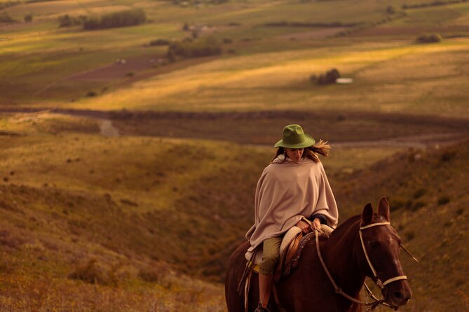 Horseback riding and barbecue in a private ranch - La Carrera, Mendoza - Time to Sit, Walk, or Watch the Mountains