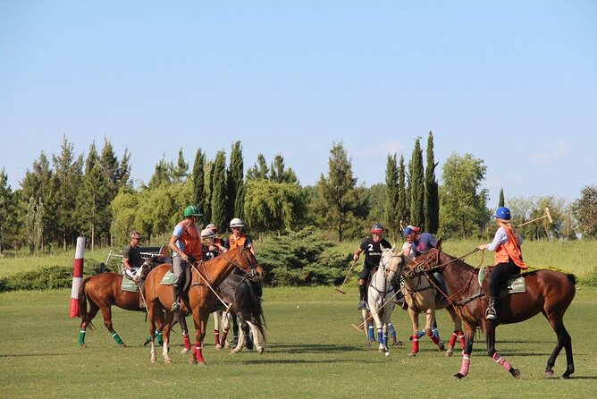 Horseback Riding and Polo in Buenos Aires - Key points to know before booking