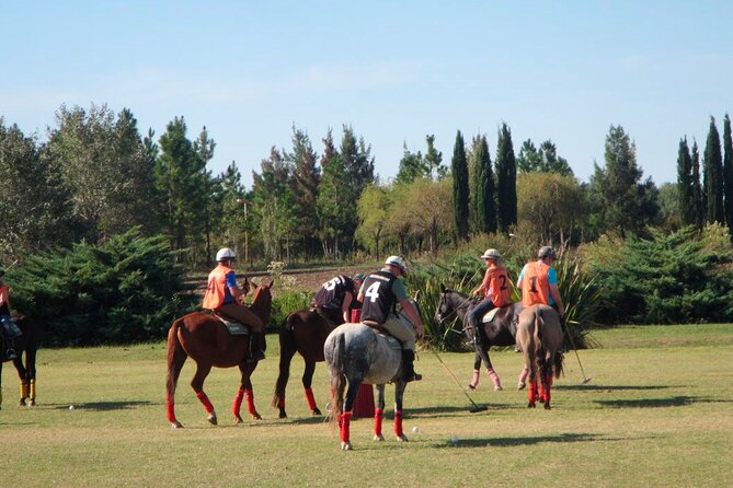 Horseback Riding and Polo in Buenos Aires - A two-hour ride with instruction at your pace