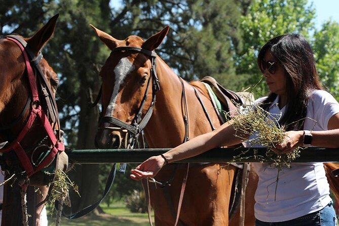 Horseback Riding and Polo in Buenos Aires - What the $320 price includes