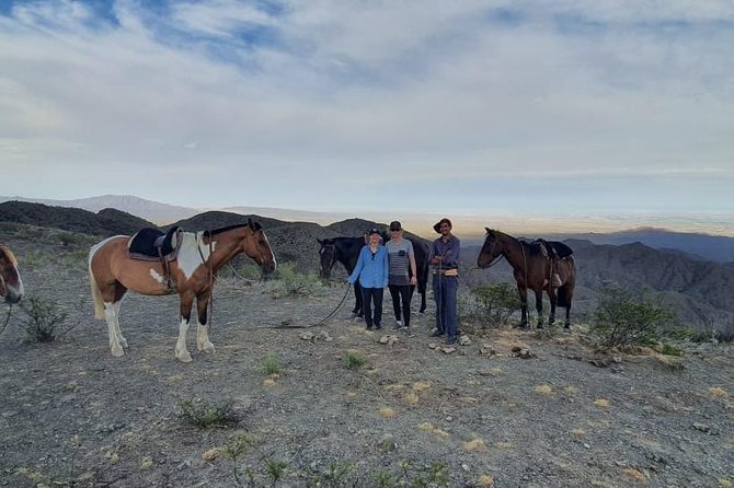 Horseback riding and roast in the mountains of Mendoza - Choosing a Horse and Learning the Basics