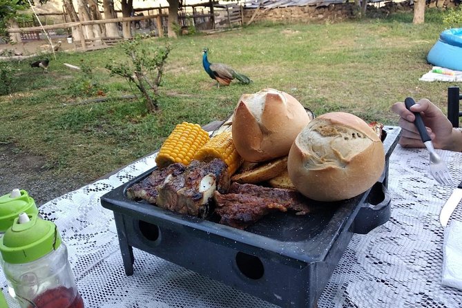 Horseback riding and roast in the mountains of Mendoza - Meeting the Family at the Gaucho Post