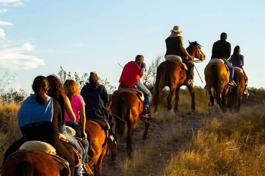 Horseback Riding at Sunset and Dinner in Mendoza - What the $185 price really covers