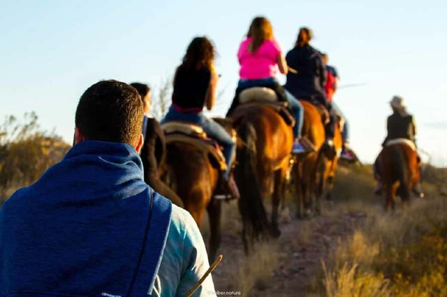 Horseback Riding at Sunset and Dinner in Mendoza - The glacier and boat-trip question