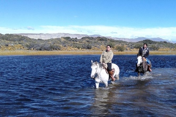 Horseback riding in Calafate - Safety: what you should ask before mounting