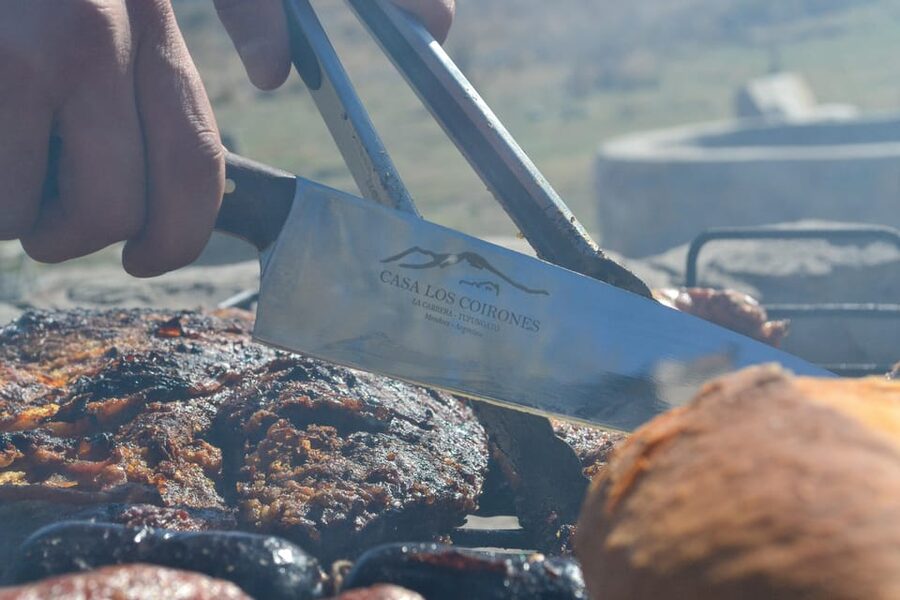 Horseback Riding in the Andes Mountain - A Malbec picnic at 2,500 meters