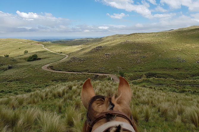 Horseback riding through the Sierras - A one-hour pause beside the Chavascate stream