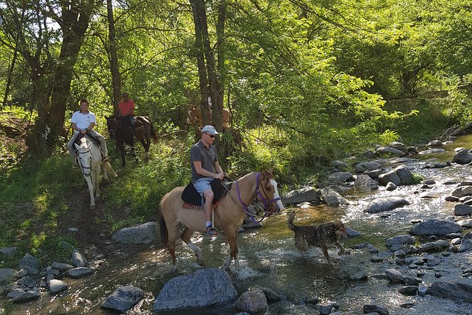 Horseback riding through the Sierras - Choosing a horse and settling into the saddle