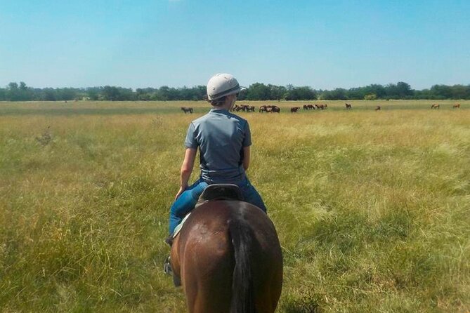Horseback Riding Tour and Polo in Argentine Countryside - Starting With Breakfast and Mate