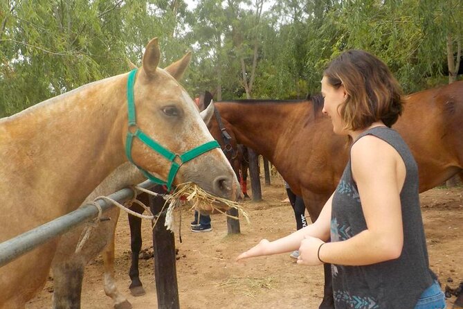 Horseback Riding Tour and Polo in Argentine Countryside - Two Hours Riding Through the Pampas