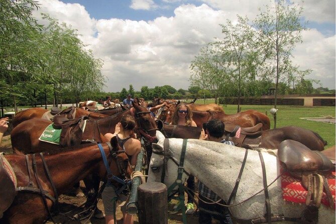 Horseback Riding Tour and Polo in Argentine Countryside - An Asado Lunch With Gaucho Traditions