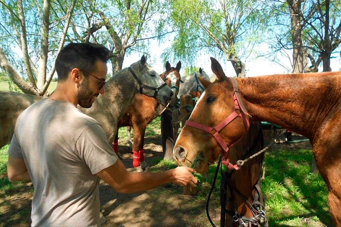 Horseback Riding Tour and Polo in Argentine Countryside - Learning Polo on a Professional Field