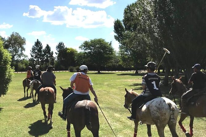 Horseback Riding Tour and Polo in Argentine Countryside - Is $320 a Fair Price?