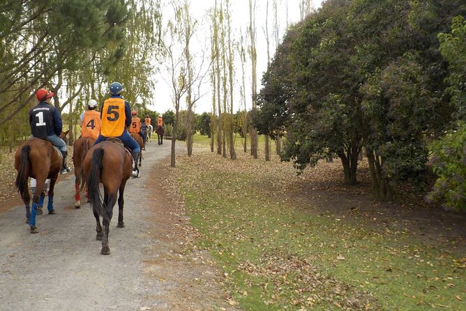 Horseback Riding Tour and Polo in Argentine Countryside - Who Will Enjoy This Most?