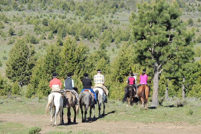 Horseback Riding with Asado in San Carlos de Bariloche, Argentina - What the price of $308.39 includes