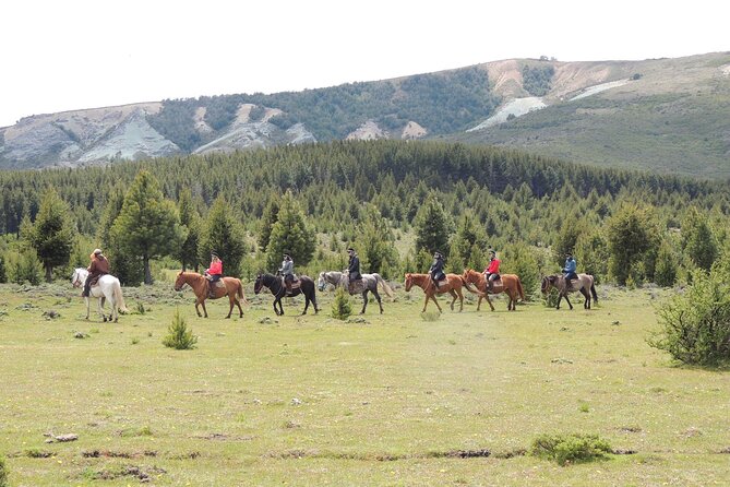 Horseback Riding with Asado in San Carlos de Bariloche, Argentina - Two hours through the ñire forest