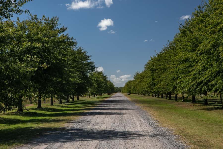 Horses, Asado & Nature. A day at a thoroughbred farm - Key points at a glance
