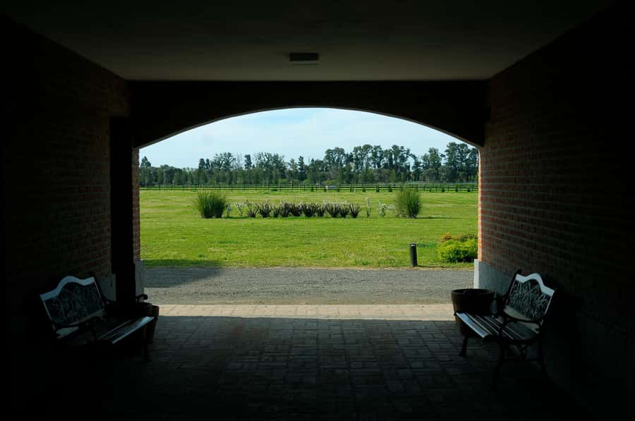Horses, Asado & Nature. A day at a thoroughbred farm - From Palermo to the open country