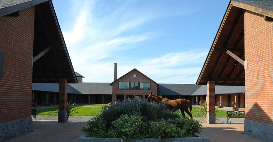Horses, Asado & Nature. A day at a thoroughbred farm - Seeing the boxes and colts in training