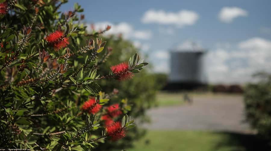 Horses, Asado & Nature. A day at a thoroughbred farm - Who should book this farm day?