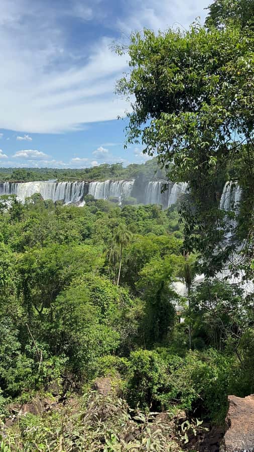 Iguassu Falls: Private Tour Argentina side - Border documents and what to bring
