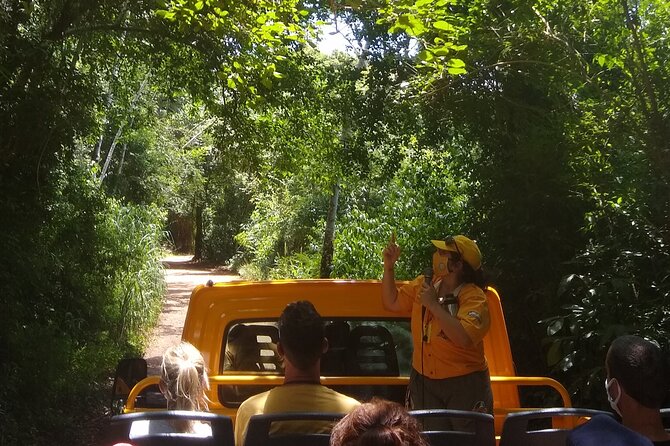 Iguazu Falls: Argentinian Side with Boat Ride, Jungle-truck and Train - The jungle truck: transfer with a little nature talk