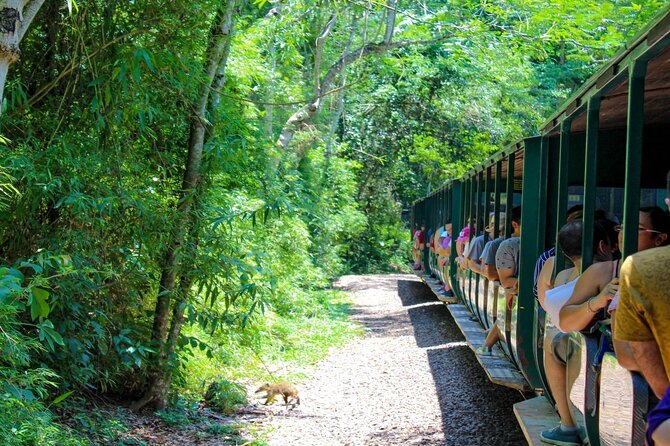 Iguazu Falls: Argentinian Side with Boat Ride, Jungle-truck and Train - Gran Aventura: the boat ride you should not skip