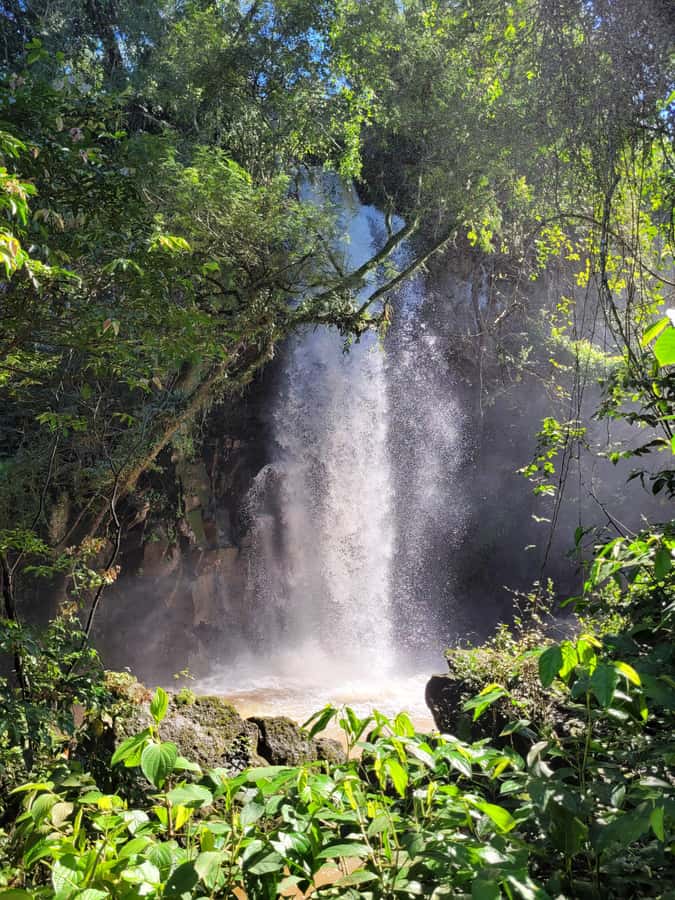 Iguazu Falls: Guided Tour in Argentinean Side - The 2.5-kilometer Lower Trail
