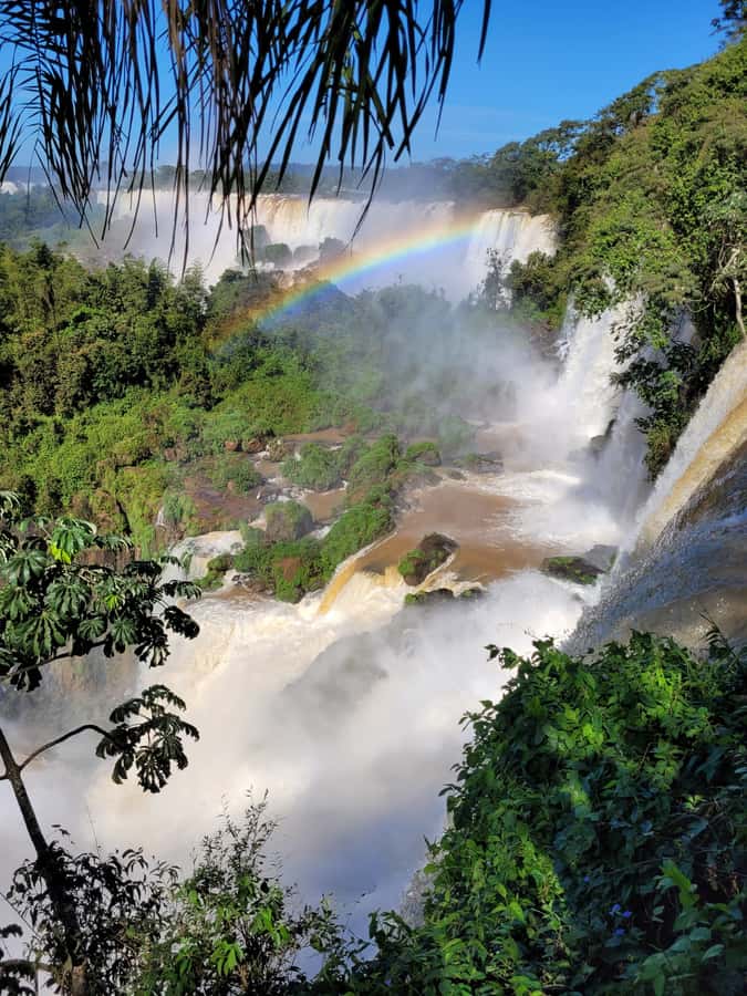 Iguazu Falls: Guided Tour in Argentinean Side - What the guide adds to the day