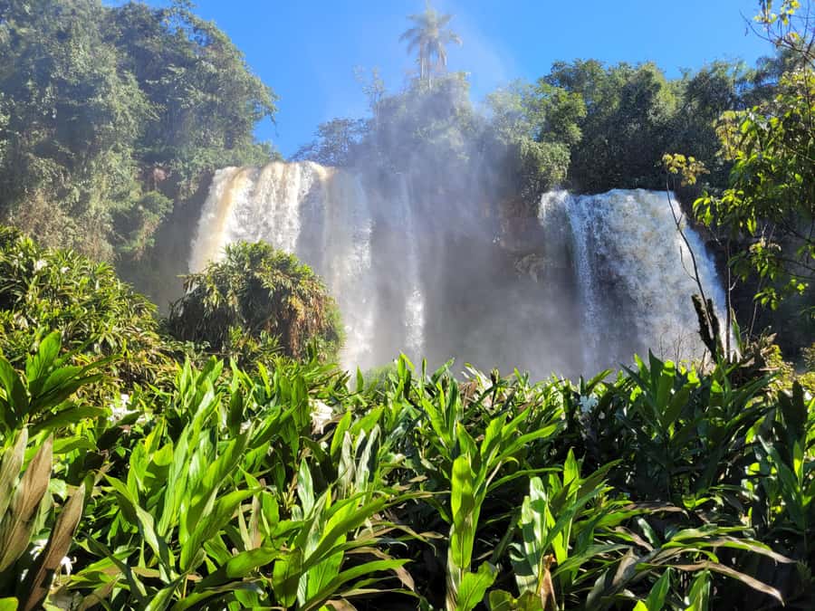 Iguazu Falls: Guided Tour in Argentinean Side - Practical preparation for Iguazu National Park