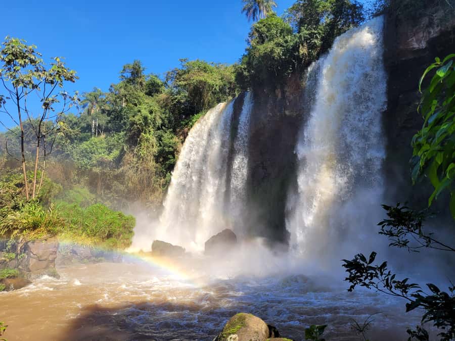 Iguazu Falls: Guided Tour in Argentinean Side - Who should book this tour?