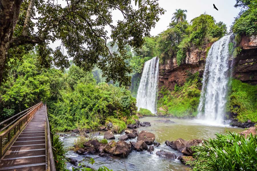 Iguazú Falls: The Natural Wonder of Argentina - Key points to know before you go