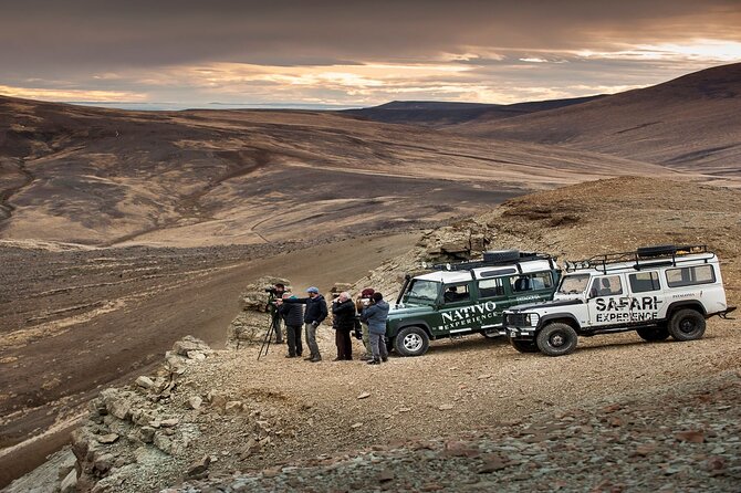 Immersive 4x4 Patagonia Safari: Dicover Flora Heritage & Wildlife - Key points at a glance