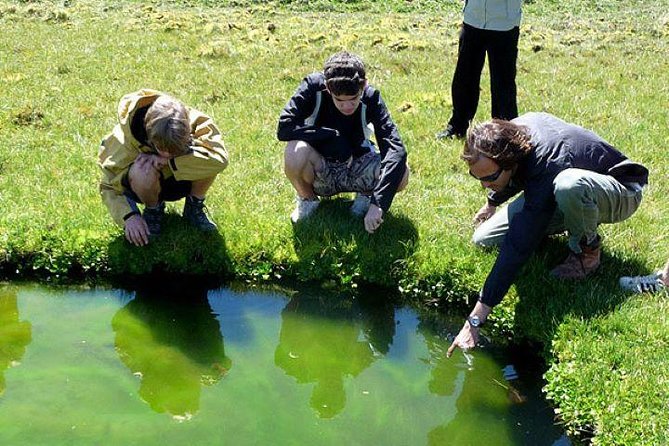Immersive 4x4 Patagonia Safari: Dicover Flora Heritage & Wildlife - Steppe wildlife and the plants that survive there
