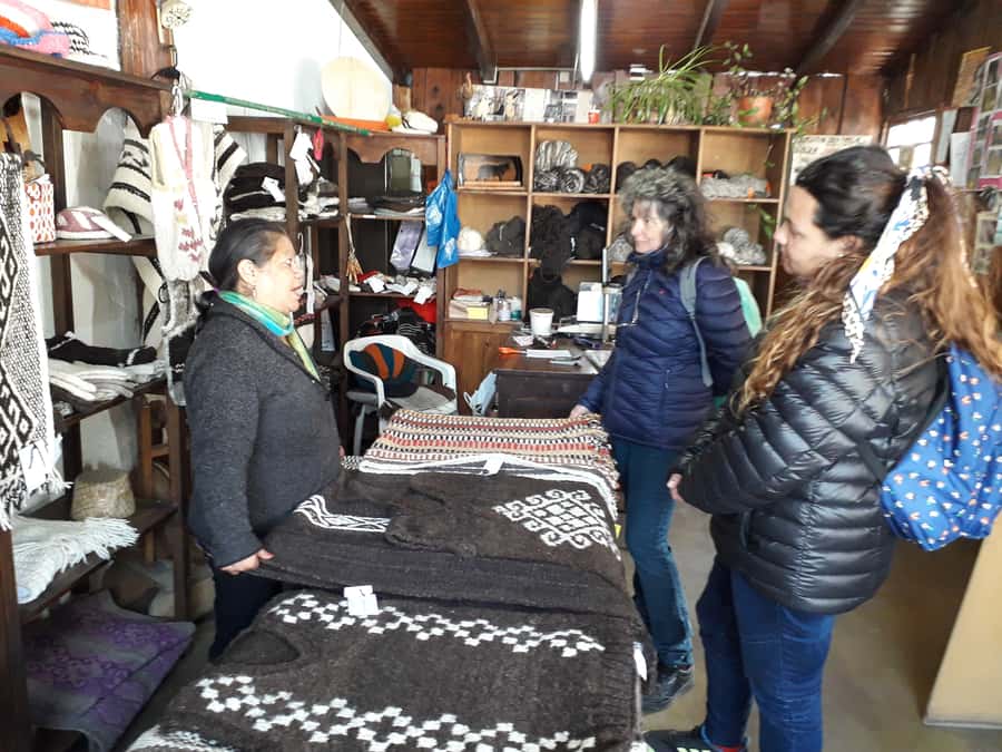 Indigenous People of Patagonia History Tour - Who should book this walk?