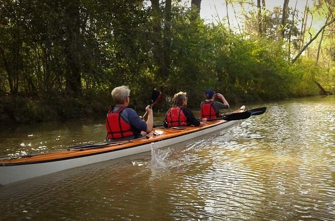 Kayaking Adventure in the Paraná River Delta - Two hours among rivers and creeks
