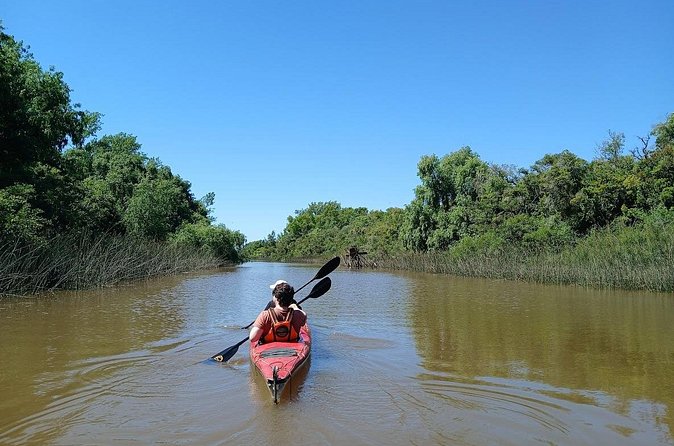 Kayaking Adventure in the Paraná River Delta - Who should book this Delta kayak tour?