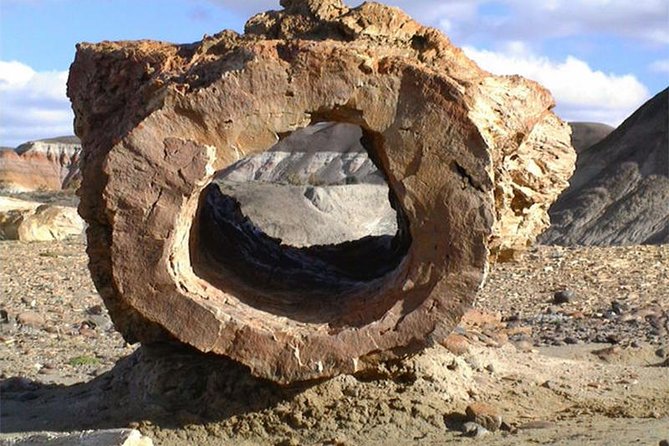 La Lioness Petrified Forest - Why La Leona feels unlike a normal day trip