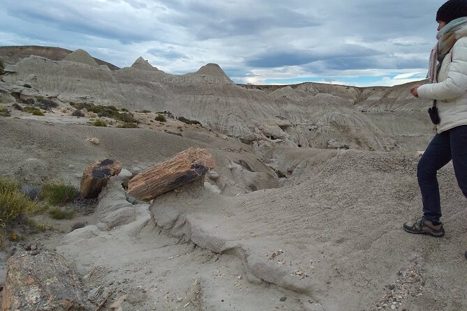 La Lioness Petrified Forest - What the terrain demands from you
