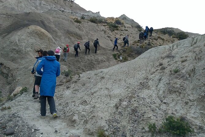 La Lioness Petrified Forest - Paying $215: is the day worth it?