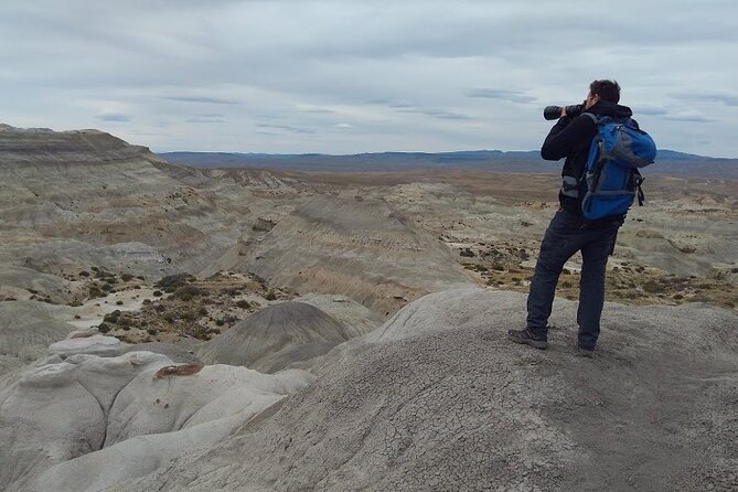 La Lioness Petrified Forest - How this compares with El Calafate’s better-known outings