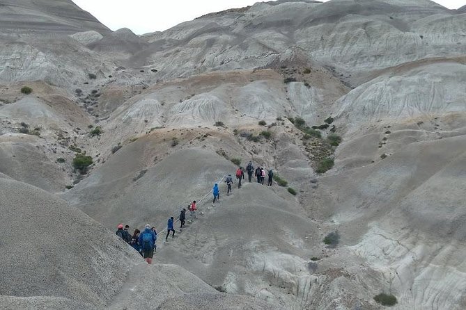 La Lioness Petrified Forest - The 9:00 am pickup from El Calafate